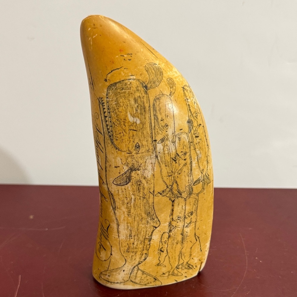 SCRIMSHAW REPLICA RESIN SPERM WHALE TOOTH SHOAL OF WHALES ARTEK MS ANCHOR LOGO - Picture 8 of 14